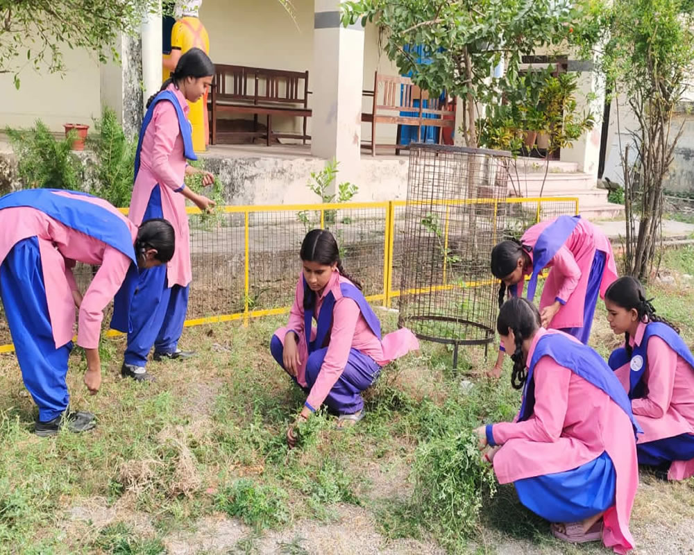 Safai Abhiyan